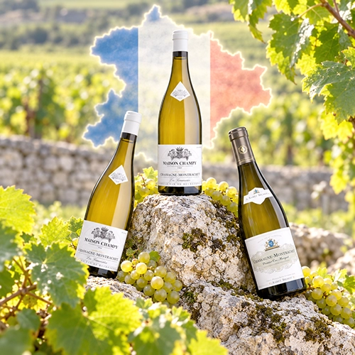 CHASSAGNE MONTRACHET